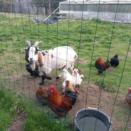 Domaine Les Tourelles 2 公寓