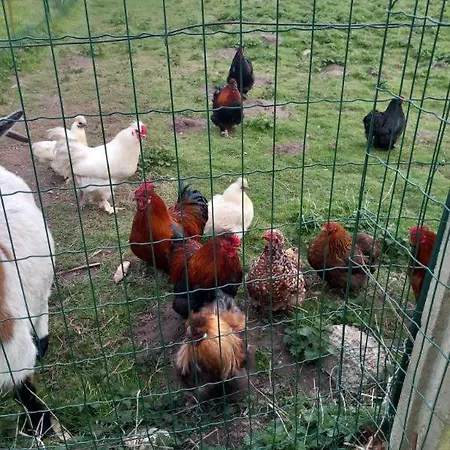 公寓 Domaine Les Tourelles 2 Caffiers