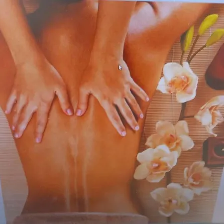 公寓 Domaine Les Tourelles 2 *