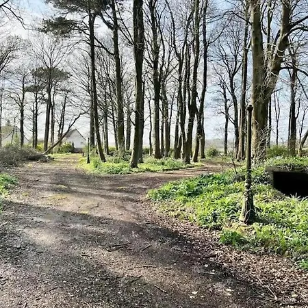 公寓 Domaine Les Tourelles 2 Caffiers